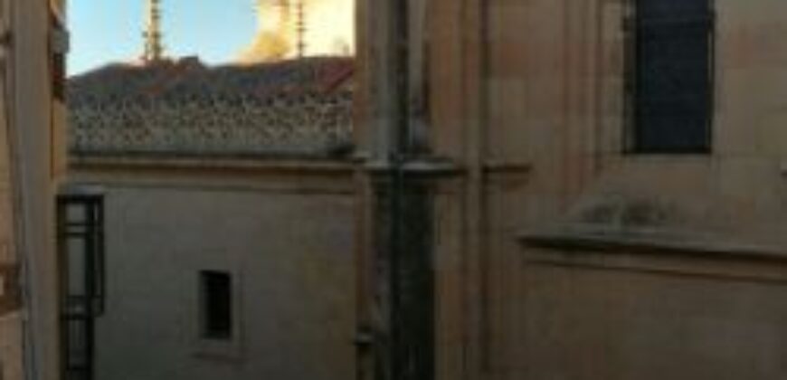 Ático calle DE SAN FRUTOS